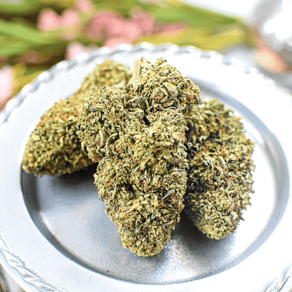 Royal OG CBD Flower - Shop with Emily Kyle