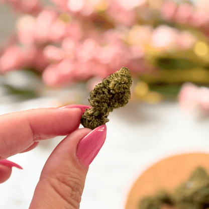 Sugar Cookies Indica-Dominant CBD Flower - Shop with Emily Kyle