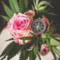 The Cannabis Wellness Vault - Shop with Emily Kyle