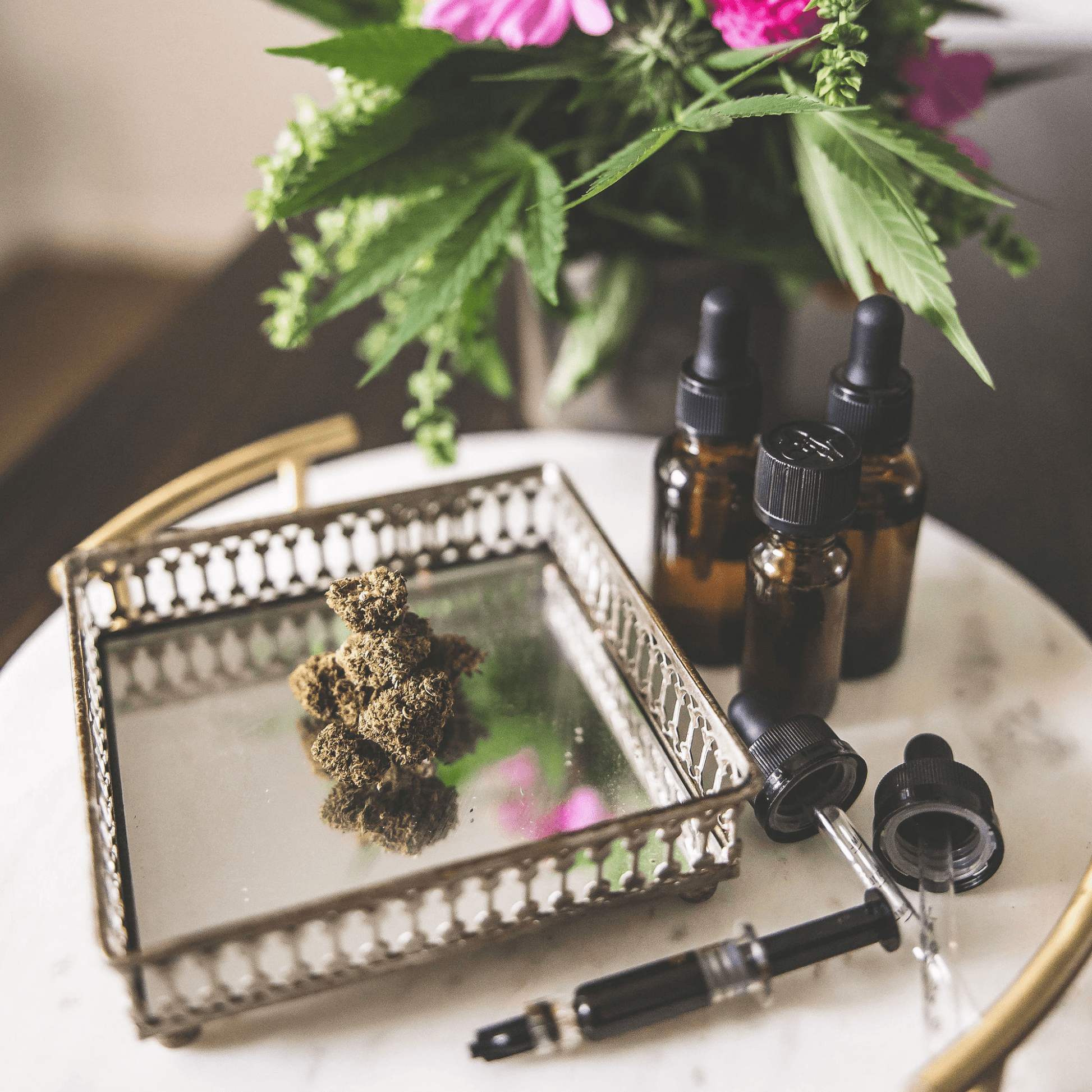 Tinctures to FECO: Medicine - Making Workshop - Shop with Emily Kyle