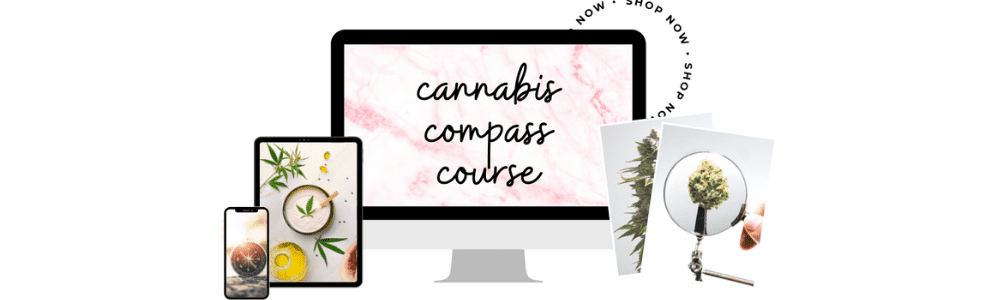 Cannabis Compass Featured Image